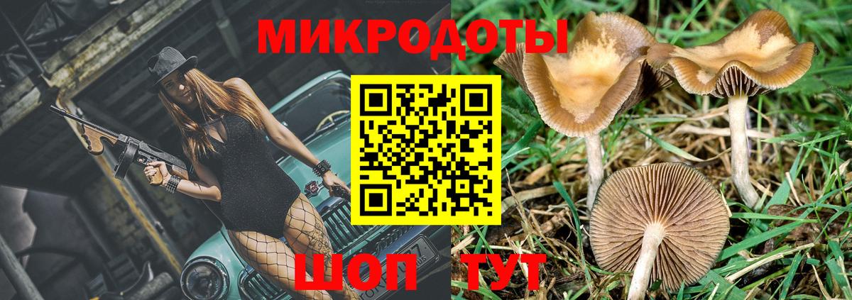 Ивантеевка  Псилоцибиновые грибы Magic Shrooms  Галлюциногенные грибы Psilocybine cubensis  Вход с VPN 
