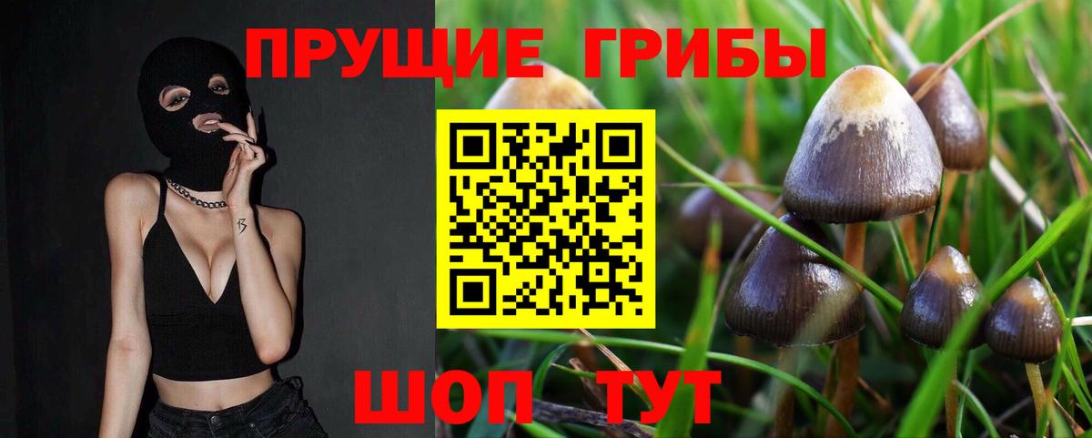 Псилоцибиновые грибы GOLDEN TEACHER Ивантеевка